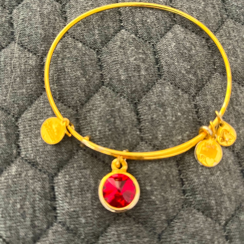 Alex and Ani birthstone Bracelet (January)